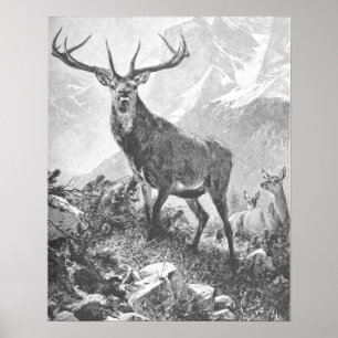 Hjort i de stora bergen poster