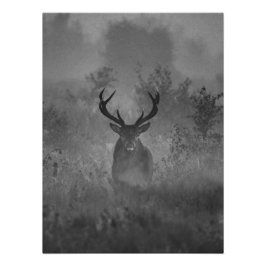 Hjort I Dimma Fototryck
