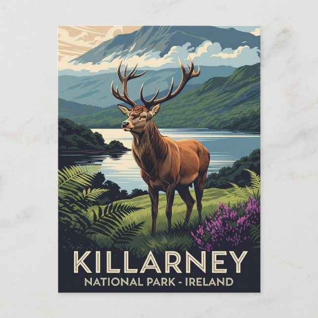 Hjort i Killarney National Park Ireland Travel Vykort (Framsida)