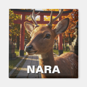 Hjort i Nara Park Japan Travel Magnet