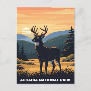 Hjort i nationalparken Arcadia Vykort