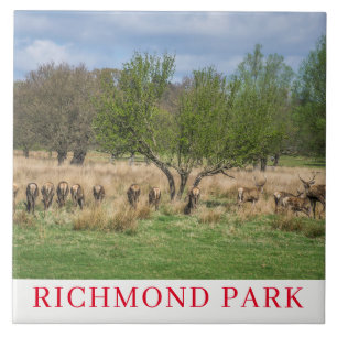 Hjort i Richmond Park London keramik Kakelplatta