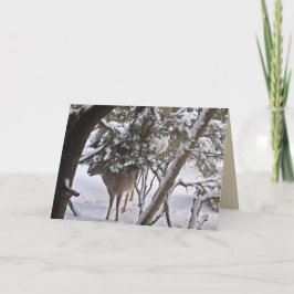 Hjort i skogen Fotografi hälsning eller notering Helgkort