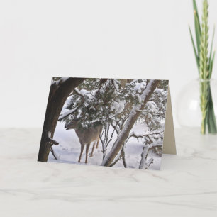 Hjort i skogen Fotografi hälsning eller notering Helgkort