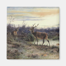 Hjort i skogen i Fontainebleau (Rosa Bonheur) Magnet