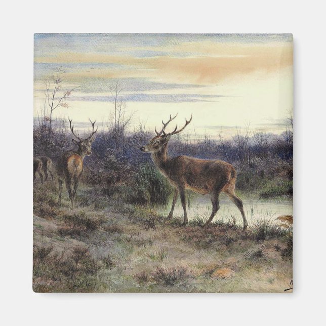 Hjort i skogen i Fontainebleau (Rosa Bonheur) Magnet (Framsidan)