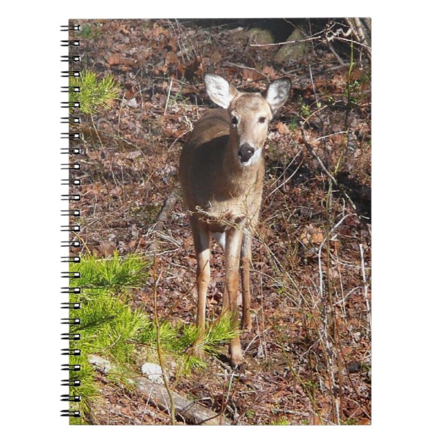 Hjort i Skogen naturfotografi Anteckningsbok Med Spiral (Framsidan)