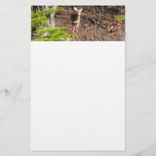 Hjort i Skogen naturfotografi Brevpapper