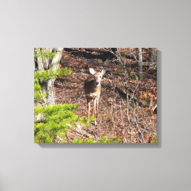Hjort i Skogen naturfotografi Canvastryck (Framsida)