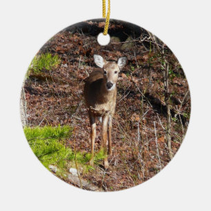 Hjort i Skogen naturfotografi Julgransprydnad Keramik