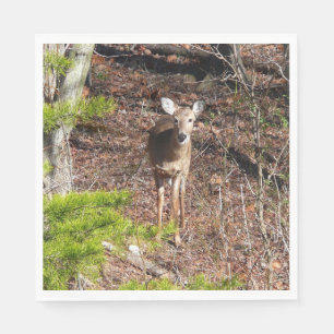 Hjort i Skogen naturfotografi Pappersservett