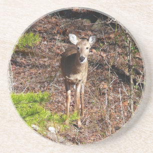 Hjort i Skogen naturfotografi Underlägg
