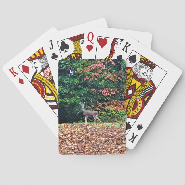 Hjort i skogen, Oregon Casinokort (Baksidan)