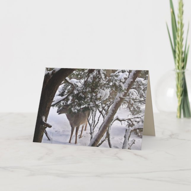 Hjort i Skogen Photograph Hälsning eller Note Helgkort (Framsida)