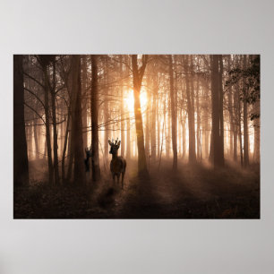 Hjort i skogen vid soluppgången i Norfolk England Poster