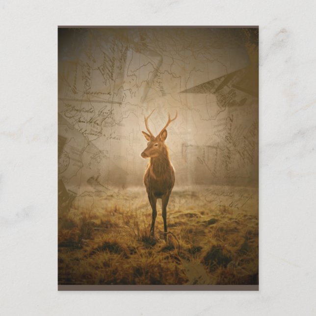 Hjort i skogen vykort (Framsida)