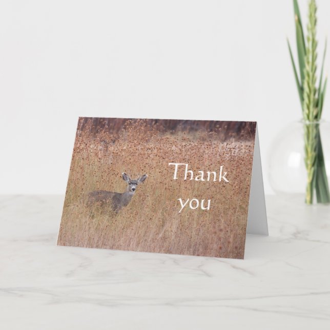 Hjort i skuggan kort (Framsida)