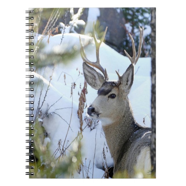 HJORT i SNÖ Anteckningsbok Med Spiral (Framsidan)