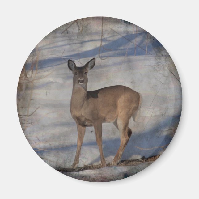 Hjort i snön magnet (Framsidan)