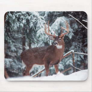 Hjort i snön Mousepad Musmatta