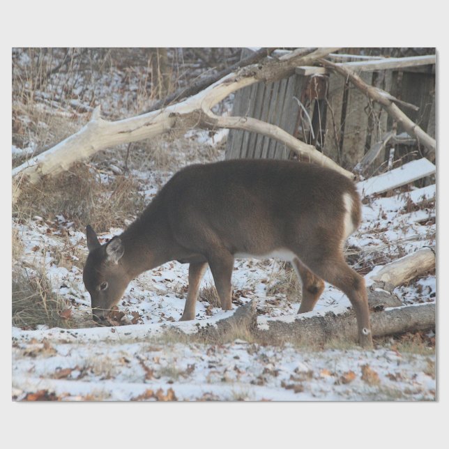 Hjort i snön presentpapper (Platt)