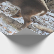 Hjort i snön