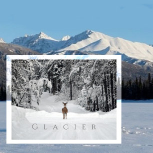 Hjort i Snowy Clearing, Glacier National Park, MT Vykort