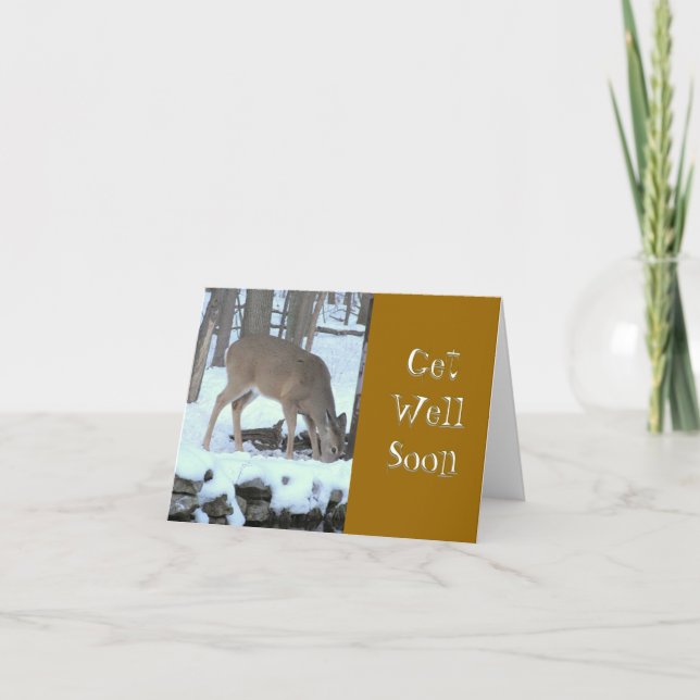 HJORT I SNOWY SKOGEN DRICKER VATTEN FRÅN STREAM KORT (Framsida)