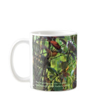 Hjort i trädgårdarna efter frosten