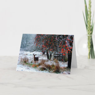 Hjort i vinter helgkort