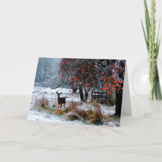 Hjort i vinter helgkort
