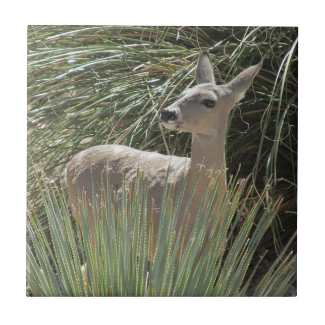 Hjort Kakelplatta (Framsidan)