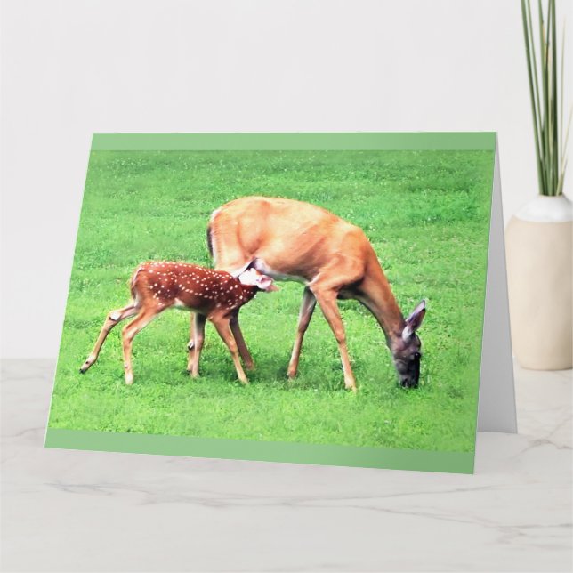 Hjort Kort (Framsida)