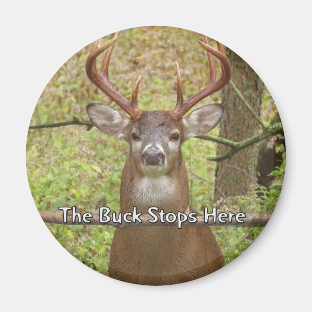 Hjort magnet (Framsidan)