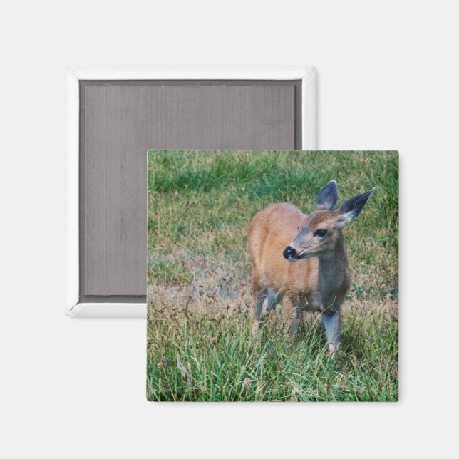 Hjort Magnet (Front/Back)