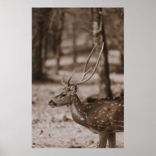 HJORT MED ANTLERS POSTER