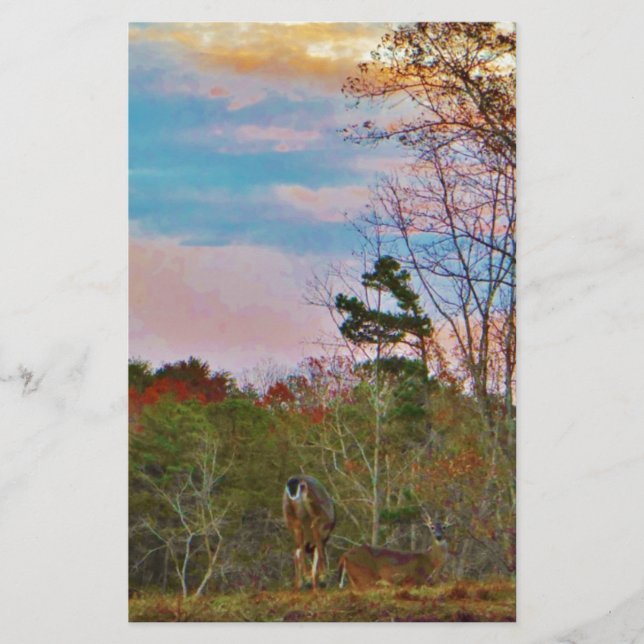Hjort med Rosa blå himmel (Framsida)