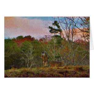 Hjort med Rosa blå himmel Hälsningskort