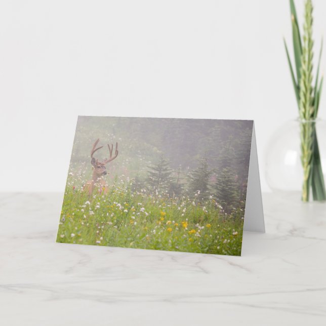 Hjort | Mount Rainier National Park Kort (Framsida)