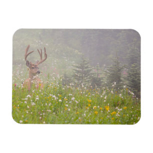 Hjort   Mount Rainier National Park Magnet