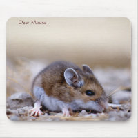 Hjort Mouse på en Mousepad