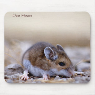 Hjort Mouse på en Mousepad Musmatta