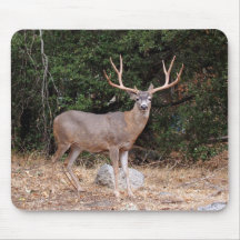 Hjort Mousepad