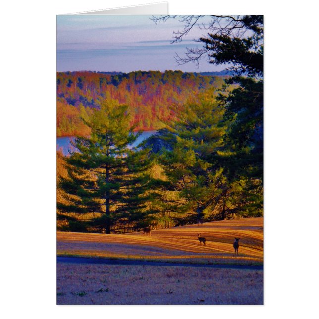 Hjort & MT Sjö Hälsningskort (Framsidan)