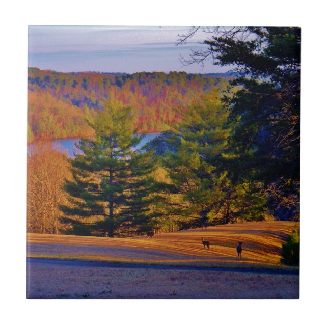 Hjort & MT Sjö Kakelplatta (Framsidan)