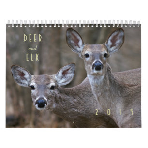 Hjort- och älg2015 väggkalender - djurliv kalender