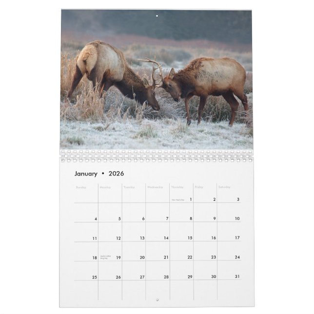 Hjort- och älg2015 väggkalender - djurliv kalender (Jan 2026)