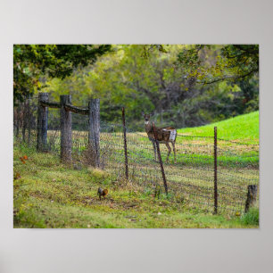 Hjort och ekorre Painterly Poster