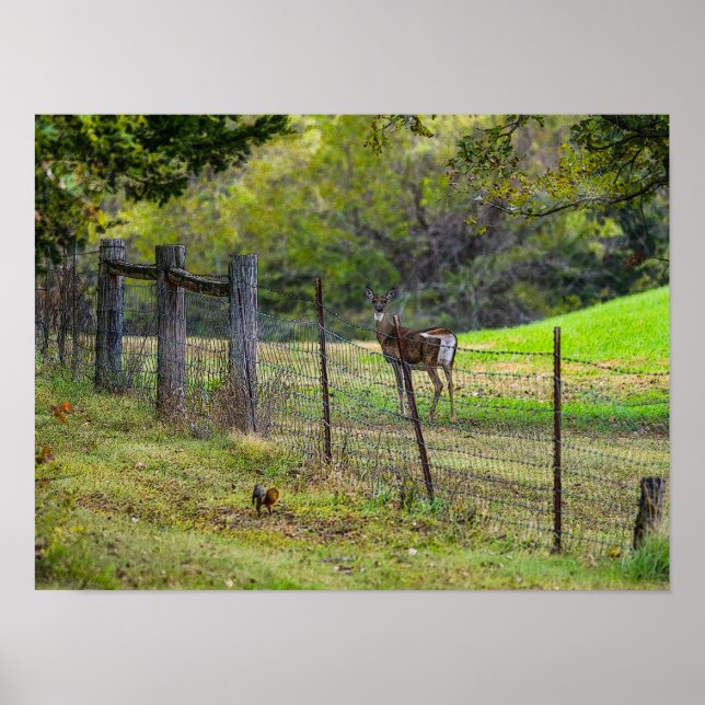 Hjort och ekorre Painterly Poster (Framsidan)