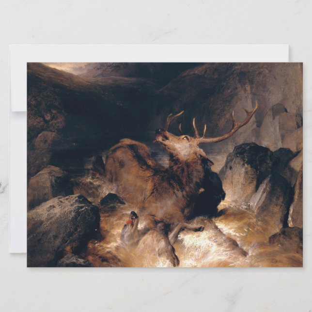 Hjort och Hound Hundar i bergsberget Torrent Kort (Framsida)